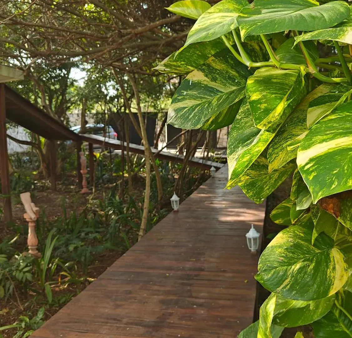 Tu Departamento En Mahahual Appartement 0*,