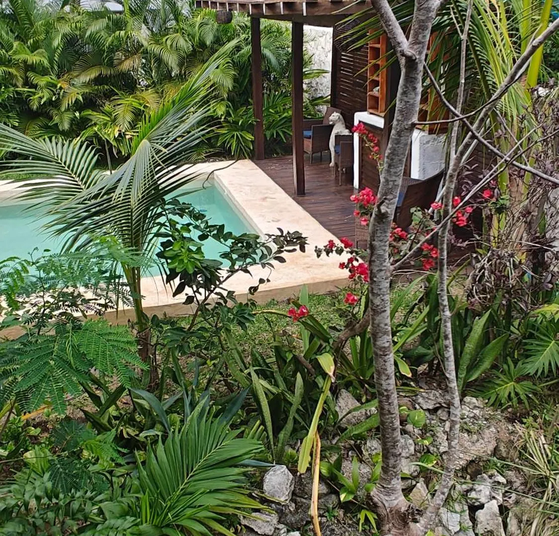 Tu Departamento En Mahahual Appartement