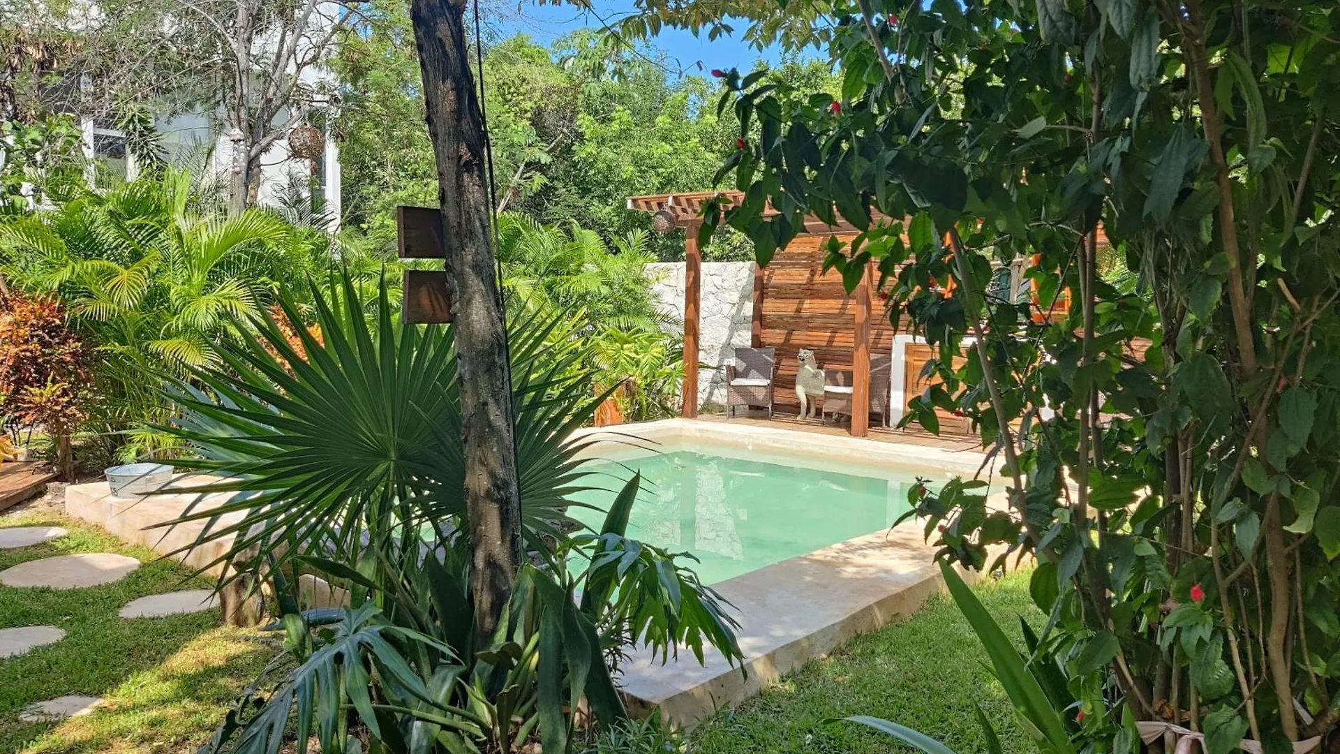 Tu Departamento En Mahahual Appartement