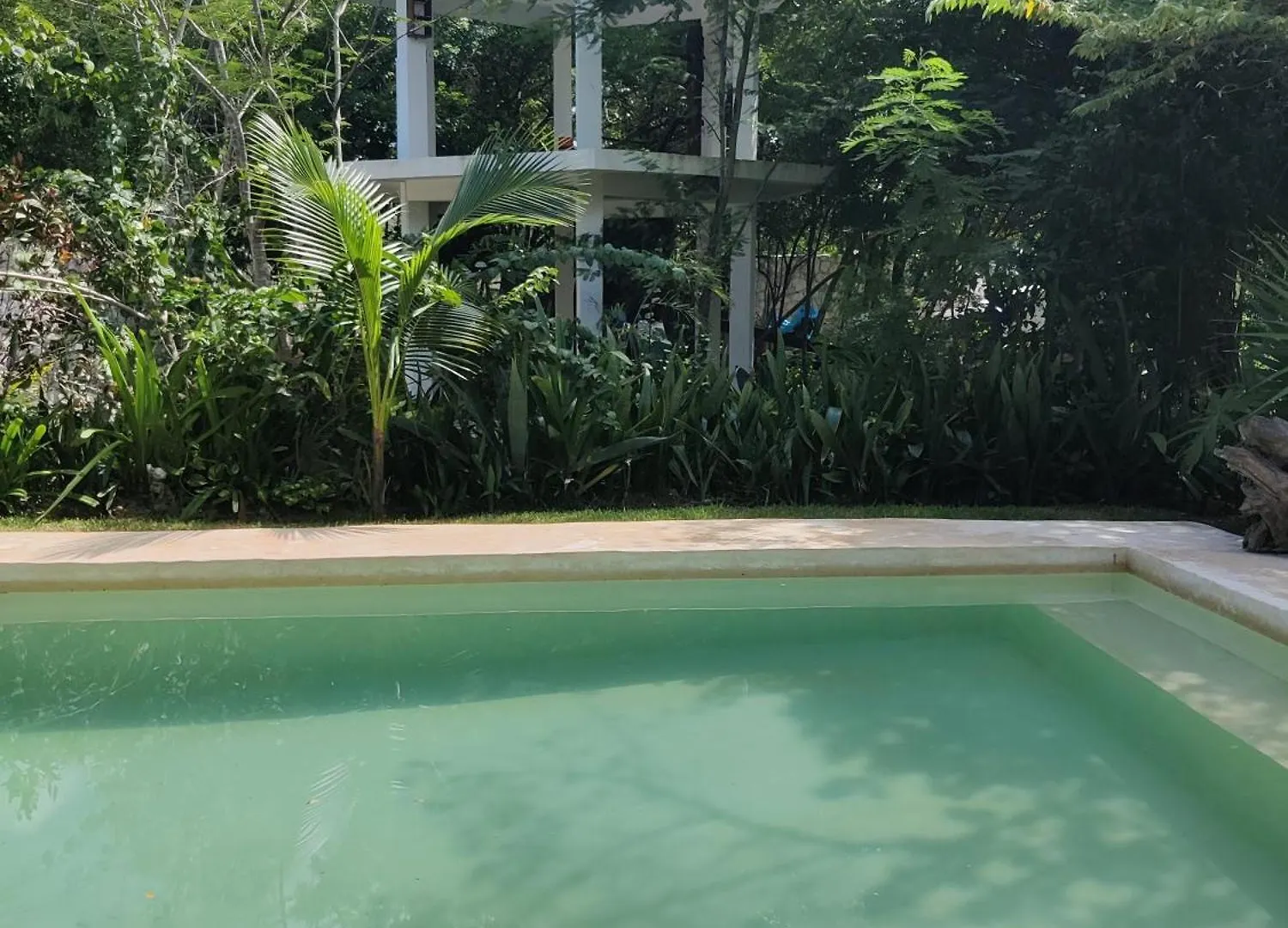 Tu Departamento En Mahahual Appartement