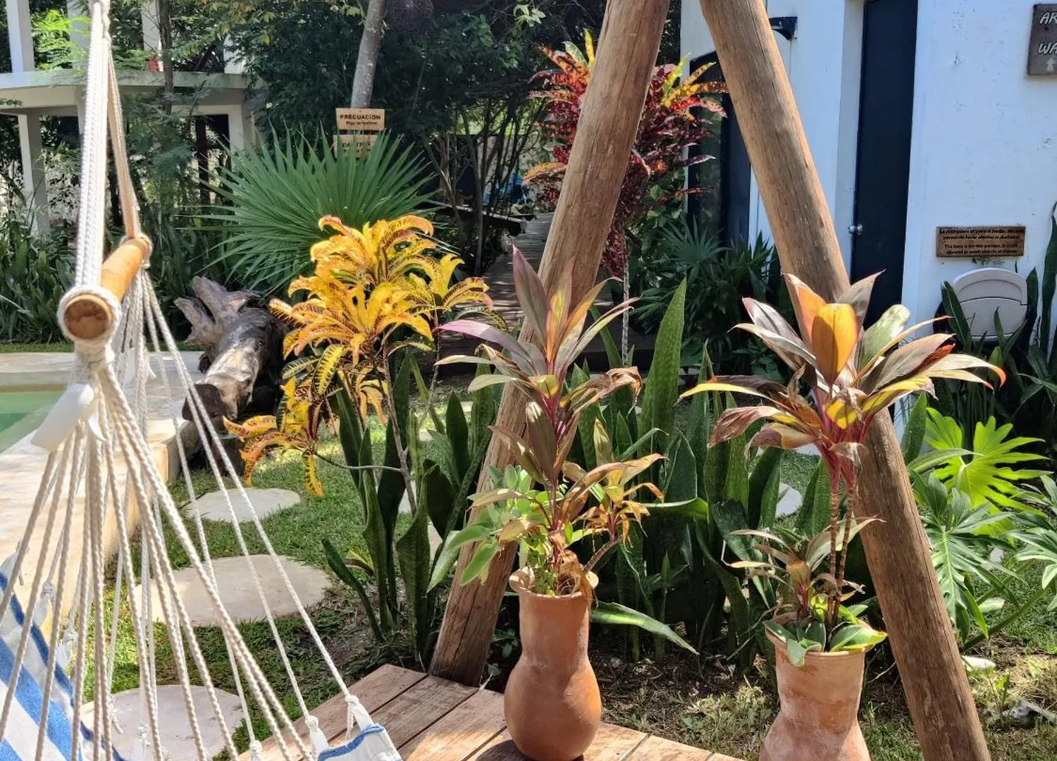 דירות Tu Departamento En מאהאהואל